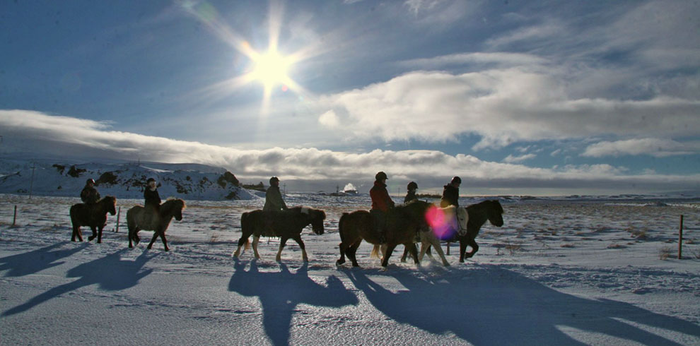 Rando Cheval Islande - Neige