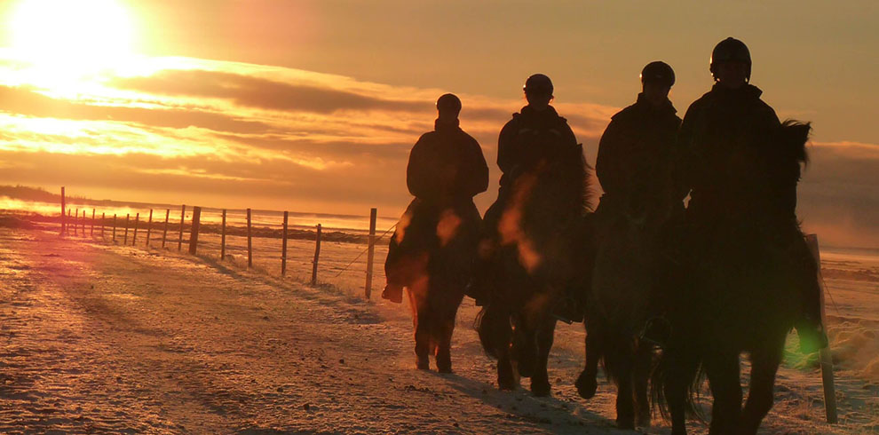 Rando Cheval Islande - Neige