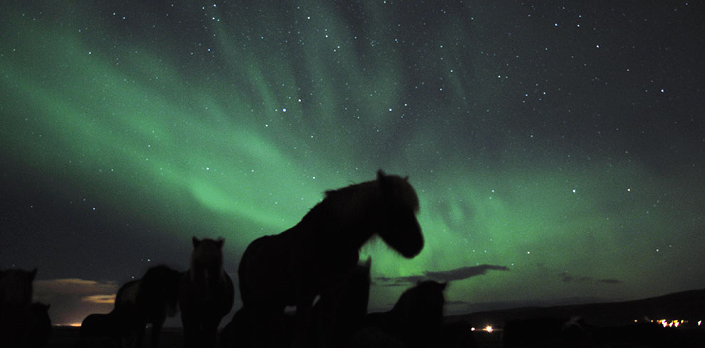 Rando Cheval Islande - Neige