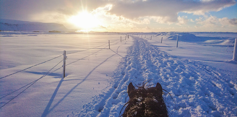 Rando Cheval Islande - Neige