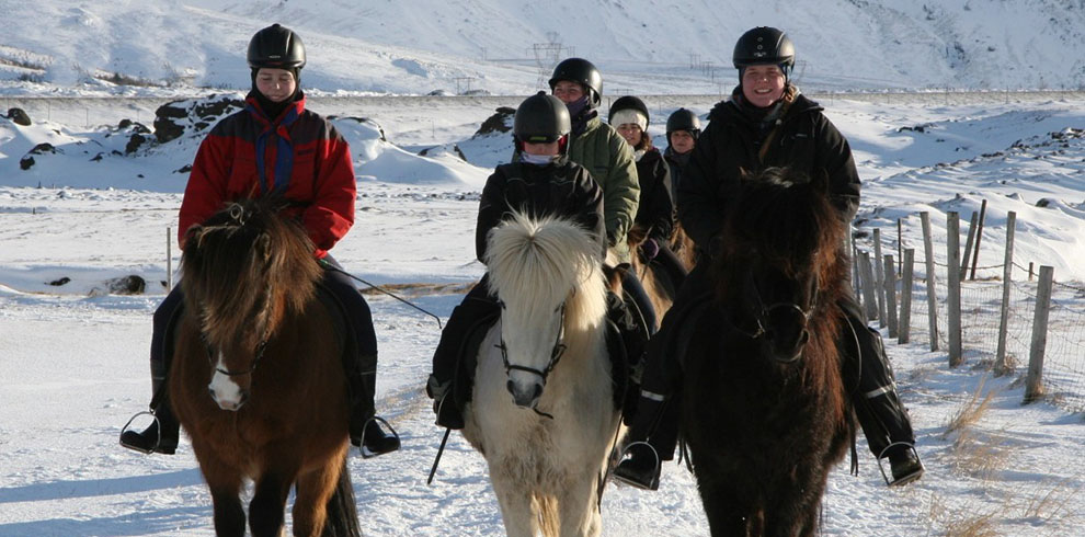 Rando cheval Islande - Neige