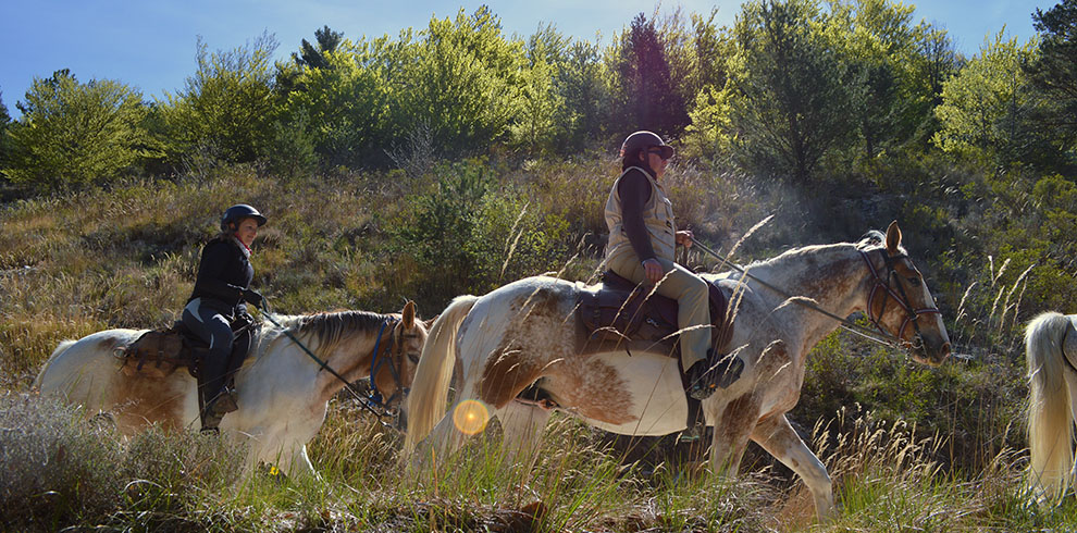 Rando Cheval en Haute Provence (France)