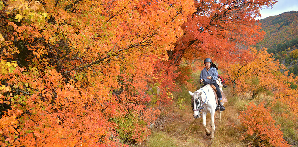 Rando Cheval en Haute Provence (France)