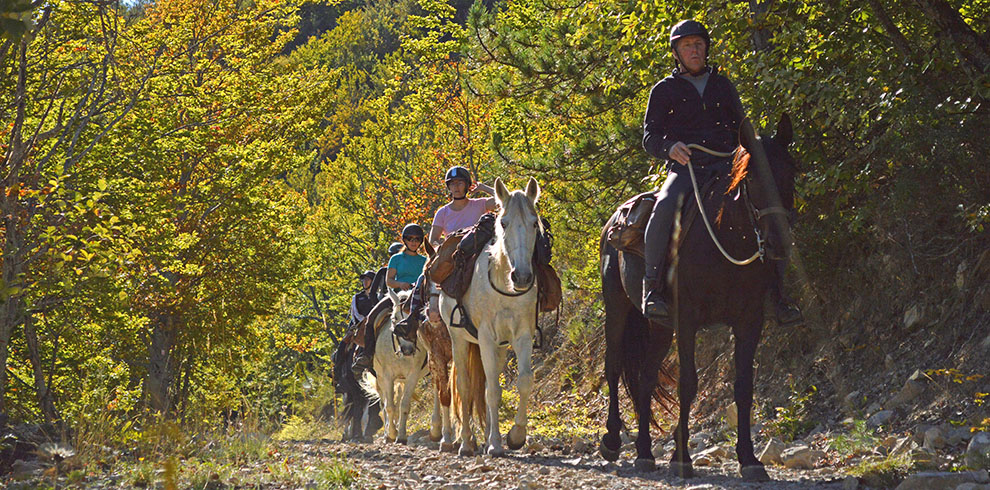 Rando Cheval en Haute Provence (France)