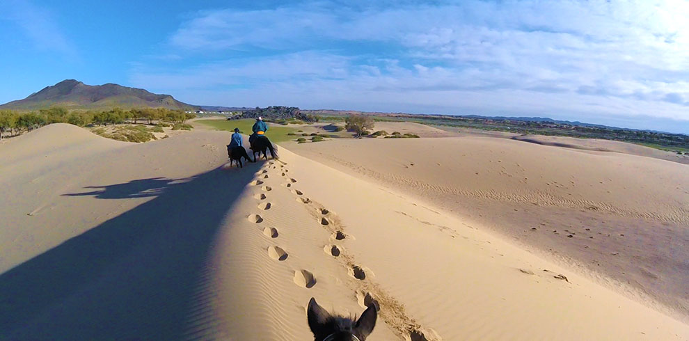 Rando Cheval Mongolie