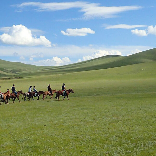 Rando Cheval Mongolie