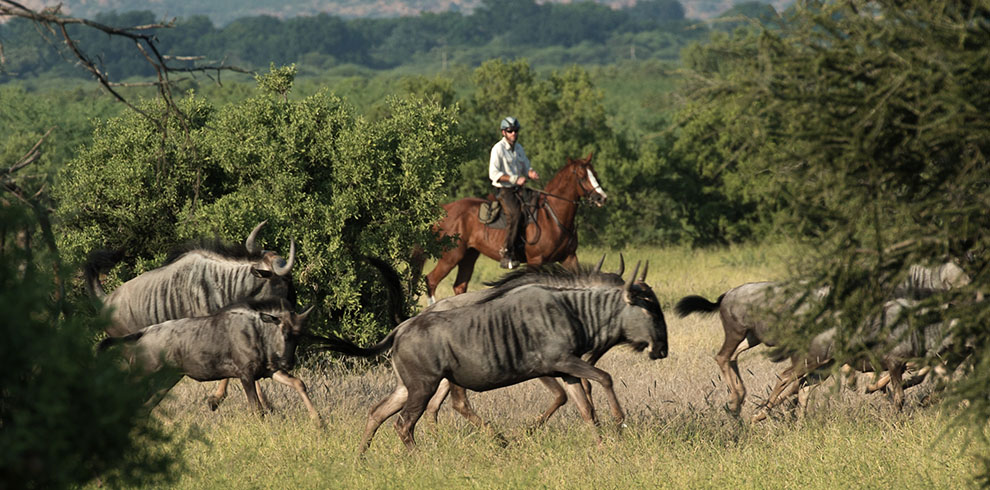 Afrique du Sud - Safari à cheval